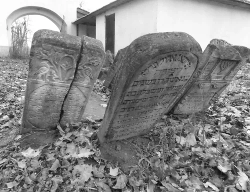 El Museo Judío de Béjar recuerda la huella del Holocausto con una exposición fotográfica